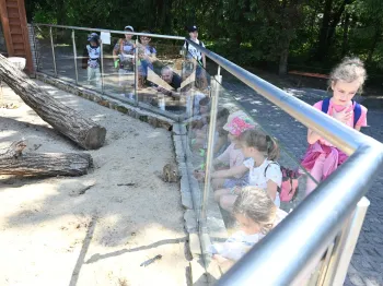 518376359_1380984187202294_6034377020185856684_n